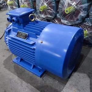 มอเตอร์เหนี่ยวนำไฟฟ้ากระแสสลับ 3 เฟส Tefc 50 แรงม้า 37 กิโลวัตต์ รุ่น YE-200L2-2 มอเตอร์เหนี่ยวนำไฟฟ้ากระแสสลับ 3 เฟส 50 แรงม้า มอเตอร์เหนี่ยวนำไฟฟ้ากระแสสลับ 3 เฟส 37 กิโลวัตต์ มอเตอร์เหนี่ยวนำไฟฟ้ากระแสสลับ 3 เฟส - Product Image 3