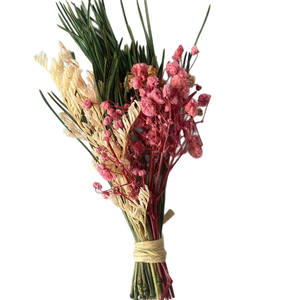 Mini ramos de flores secas, pequeños arreglos de flores prensadas para decoració<span class=keywords><strong>n</strong></span> de escritorio para el hogar, centros de mesa de oficina, tiendas de regalos, minoristas - Product Image 4