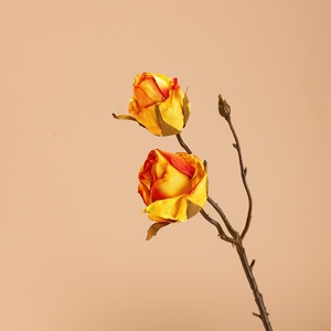 Rosa Artificial CallaFloral, Rama Individual, Color Naranja, Impermeable, Decoraciones para Bodas, Estilo Ins, Planta Verde Decorativa - Product Image 3