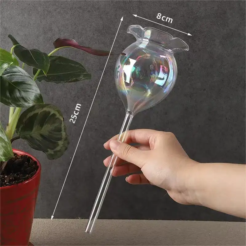 Customized Shape Glass Plant Watering Globes/Bulbs Clear Self Watering Devices Globes