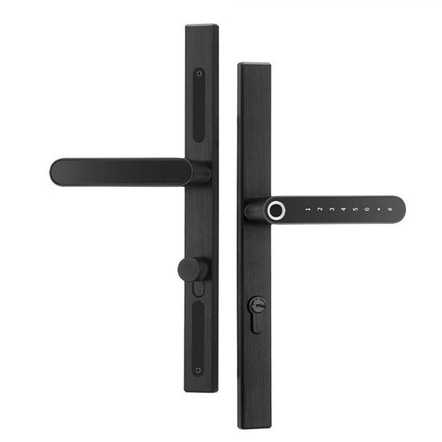 Tuya Smart Door Lock with WiFi Fingerprint Biometric Recognition Waterproof Aluminum Housing for Glass Door-Affordable