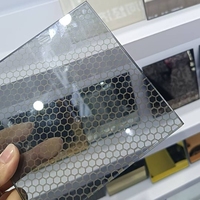 Panneaux de verre trempé teinté à motifs en céramique