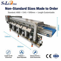 Hoog rendement automatische groente-luchtdroogmachine blaasdroger ontwatering voor fruit, salade, bladgroenten, koolverwerking