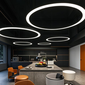 Hiện Đại LED Văn Phòng Tuyến Tính Vòng Tròn Mặt Dây Chuyền Đèn 800Mm 1000Mm Đường Kính Mờ Trần Vòng Treo Ánh Sáng Kích Thước Nhỏ - Product Image 1