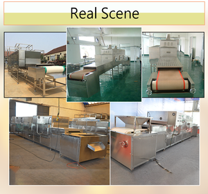 Sécheur à micro-ondes industriel, tunnel continu à micro-ondes industriel, machine de séchage et de déshydratation des <span class=keywords><strong>insectes</strong></span> <span class=keywords><strong>comestibles</strong></span>, des grillons et des sauterelles - Product Image 4