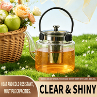 Théière en verre avec poignée en métal noir, infuseur amovible en acier inoxydable 201, bouilloire domestique, coffret cadeau