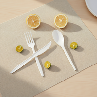 Greenday Wegwerp Spork Biologisch afbreekbaar CPLA Mes Vork Lepel voor Desserts Fruit IJs Crème Feest Restaurant Koffie Roerstaafje