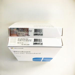 <strong>Windows</strong> Sever Standard 2025 <strong>Software</strong> DHL Federal UPS Worldwide Shipping - Product Image 5