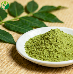 Fornitura OEM di Polvere di Foglie di <span class=keywords><strong>Neem</strong></span> di Grado Alimentare, Polvere di <span class=keywords><strong>Neem</strong></span>, Estratto di <span class=keywords><strong>Neem</strong></span> - Product Image 1