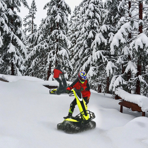 Scooter Recreativo ATV/UTV, Moto de Nieve, Snowbike, Snowboard, ETV para Diversión y Aventura YS-ET002 - Product Image 2
