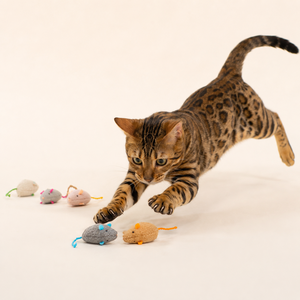 Ratón de Peluche con Catnip, Resistente a Arañazos y Mordeduras, Juguete para Gatos - Product Image 2
