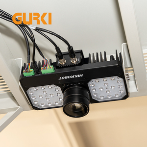 Sistem Konveyor Sabuk Bergerak Industri Logistik Ekspres E-Commerce GURKI Dynamic DWS dengan Mesin Pemindai, Penimbang, dan Penyortir - Product Image 4