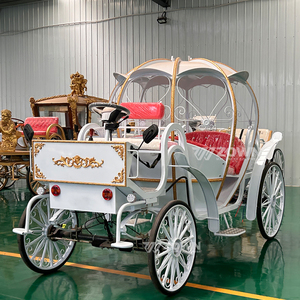 Carruaje eléctrico blanco de Cenicienta para sesiones de fotos de bodas y excursiones turísticas en lugares escénicos - Product Image 5