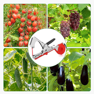 Máquina para atar ramas, pistola para atar ramas de <span class=keywords><strong>tomate</strong></span>, máquina para atar ramas de pepino, máquina para atar ramas de uva, máquina para atar viñas - Product Image 2