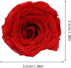 Venta al por Mayor de Hermosas Cabezas de Rosas Preservadas de Alta Calidad, Rosas Grandes Preservadas, Regalo para el Día de San Valentín - Product Image 3