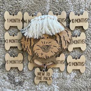 Plaques mensuelles personnalisées sur le thème de la nurserie, cartes de jalons pour chiens de compagnie et d'élevage, cadeau pour animal de compagnie - Product Image 2