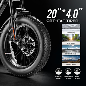 Vélo certifié Eahora EN15194, moteur sans balais 750W, batterie 48V 15Ah, cadre en acier, vélo électrique de ville avec porte-bagages arrière, éclairage LED - Product Image 5