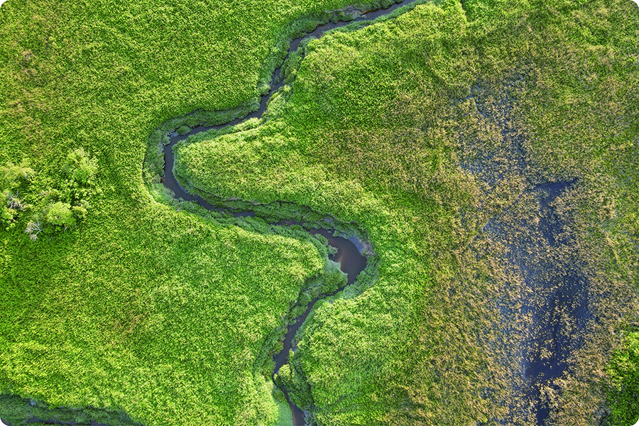 Grasslands_03 _ 3 '* 3'