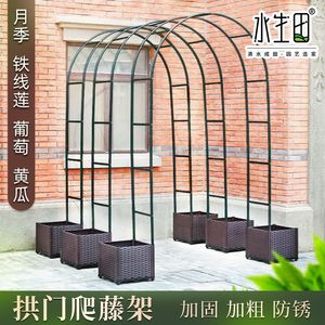 Iron Climbing <b>Trellis</b> Arch For Roses Grapes Clematis Outdoor Garden Patio <b>Plant</b> Support Easily Assembled Round Shape - Product Image 2