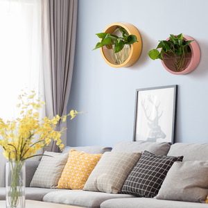 Maceta Creativa para Montar EN LA Pared, Macaron Nórdico, Plantas Verdes, Decoración <span class=keywords><strong>DE</strong></span> LA Pared del Salón, Peces Hidropónicos Circulares - Product Image 3