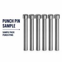 Pack d'échantillons de broches de poinçonnage SKD11 SKH51 TiCN polies, tailles personnalisées pour les tests de qualité des fournisseurs