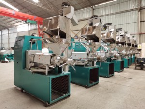 Presse à huile froide de coquille de noyau de noix pressant la machine d'extraction d'huile de noix de cajou - Product Image 4