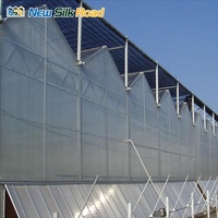 Grote Venlo-type multispan kas van polycarbonaat met verzinkt stalen frame, ventilatie- en koelsystemen