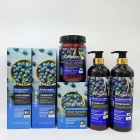 Série de soins capillaires véganes à la myrtille Mige Luekis : Shampooing réparateur hydratant, après-shampoing, masque capillaire, huile capillaire pour usage en salon et à domicile