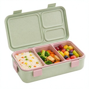 Contenitore per Pranzo a Doppio Strato Isolato con Coperchio in Plastica, 3 Scomparti, Riscaldabile in Microonde, Portatile, Rettangolare, Senza BPA - Product Image 1
