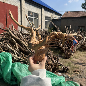 <span class=keywords><strong>Aquarium</strong></span> Visbak Fijngeworteld Landschapsaanleg Spinnehout Drijfhout - Product Image 5