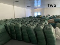 Ours polaire en peluche coulant, jouet en peluche très populaire, avec logo personnalisé brodé, emballé en boîtes