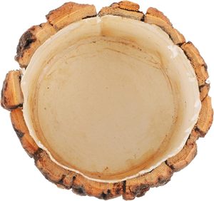 Maceta rústica <span class=keywords><strong>de</strong></span> <span class=keywords><strong>madera</strong></span> <span class=keywords><strong>para</strong></span> flores, tronco <span class=keywords><strong>de</strong></span> árbol, aspecto <span class=keywords><strong>de</strong></span> <span class=keywords><strong>madera</strong></span>, maceta pequeña, portavelas <span class=keywords><strong>para</strong></span> tronco <span class=keywords><strong>de</strong></span> <span class=keywords><strong>madera</strong></span>, Mini maceta <span class=keywords><strong>para</strong></span> plantas, cuenco <span class=keywords><strong>para</strong></span> maceta suculenta <span class=keywords><strong>de</strong></span> <span class=keywords><strong>Cactus</strong></span> - Product Image 2