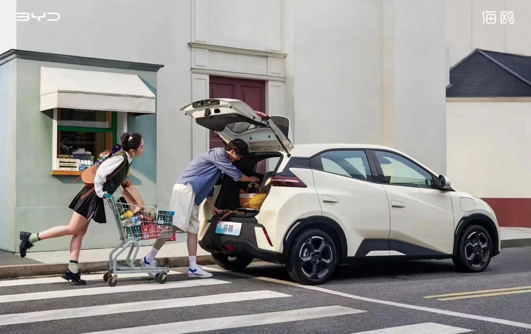 2023 Seagull martı Ev araba 405km yeni enerji araç 4 piyasada yeni koltuklar Market martı elektrikli araba-satın Seagull martı, elektrikli otomobil E