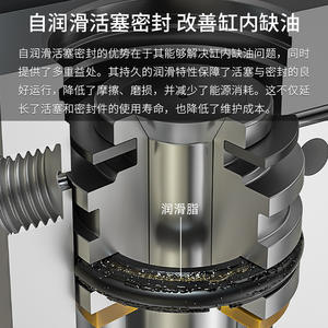 Cilindro Neumático Miniatura de Doble Eje y Doble Vástago TN10 16 20 25 32 40 con Conexión Roscada Tipo Filtro TDA - Product Image 3