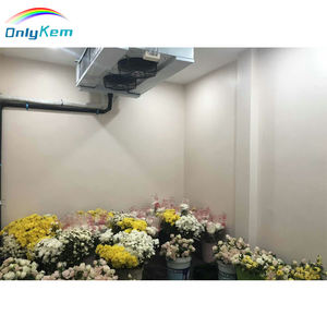 Chambre froide de stockage de fleurs OnlyKem, chambre froide de réfrigération, chambre froide - Product Image 2