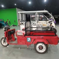 Vehículo Eléctrico, Motor de 800w, Dimensiones 2400*790*1120mm, Triciclos Eléctricos de Pasajeros de Alta Calidad