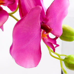 उच्च गुणवत्ता थोक रेशम फूल 80cm orkide कृत्रिम आर्किड - Product Image 4