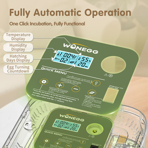 Wonegg meilleure qualité <span class=keywords><strong>automatique</strong></span> poulet <span class=keywords><strong>12</strong></span> incubateurs d'oeufs de volaille oeufs à couver Mini pour poulet double utilisation d'oeufs de caille - Product Image 3