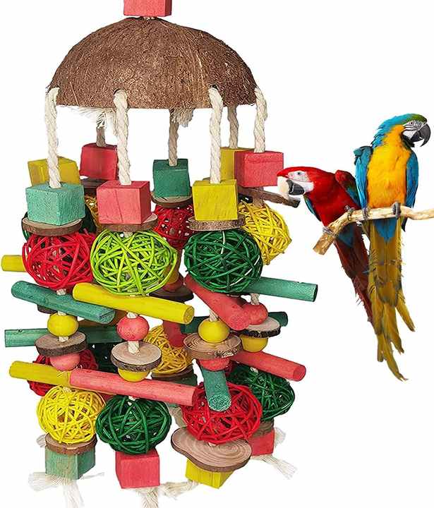 Chew Parrot Toys Coconut Shell Colorful Chain Bird Supplies Bird Toys