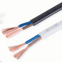 BVVB Flaches PVC-Kabel Kupferleiter 450/750V Gebäudekabel für Hausverdrahtung und Oberflächeninstallation