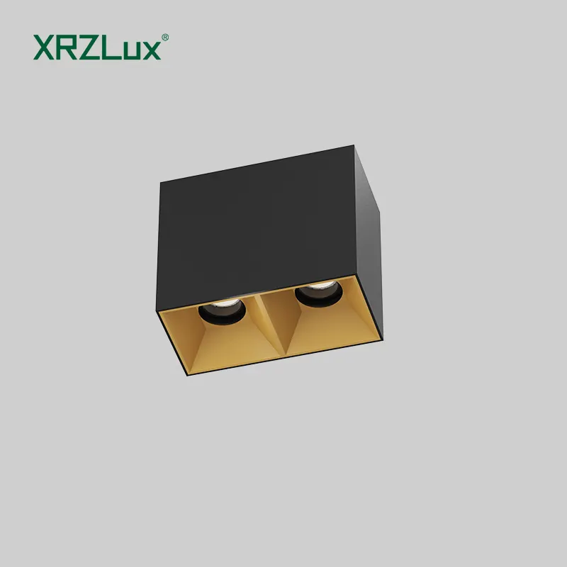 XRZLux डबल हेड्स सरफेस माउंटेड LED सीलिंग लैंप 20W एल्युमीनियम COB LED डाउनलाइट स्क्वायर सरफेस सीलिंग स्पॉटलाइट्स