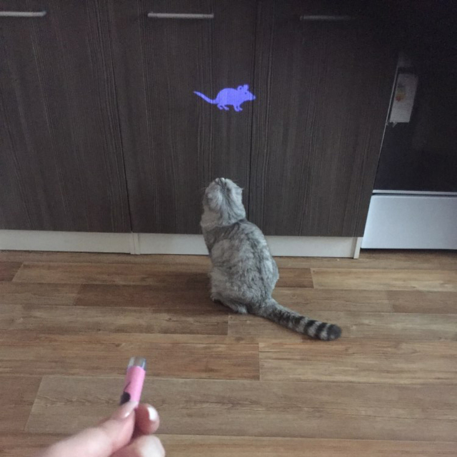 Funny Pet Cat Toy Light Laser Pointer Cat Light up Rail Toy Toy Lazer Light