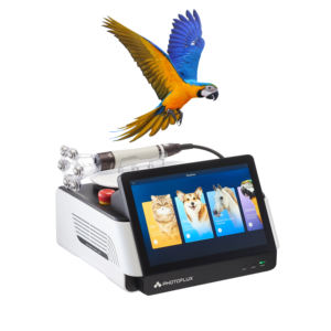 Sistem Terapi Laser Diode Veteriner untuk Pengobatan Nyeri dan Pemanasan Luka - Product Image 1