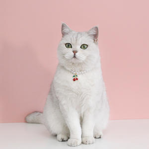 Venta al por mayor de cristal de lujo perro gato <span class=keywords><strong>Collar</strong></span> para Navidad y Halloween - Product Image 5