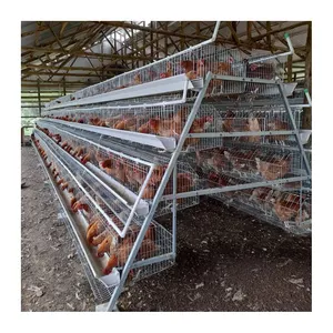 Design Egg Layer Battery Chicken Cage System Chicken Cages For Poultry Farm House