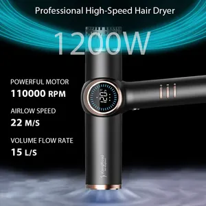 Kang Road Wholesale 1200W 110000 RPM Brushless Motor Ionic Blow Dryer With Diffuser Portable Hair Dryers With Magnetic Nozzle