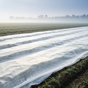 Cubierta Agrícola Impermeable Elástica de Material No Tejido, Precio Razonable, Gran Venta 2023, Nuevo Material, Peso Pesado, <span class=keywords><strong>110</strong></span> GSM, para Plantas - Product Image 5