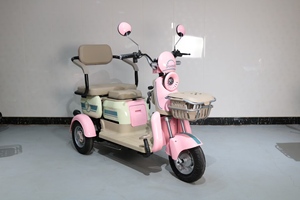 Tricycle électrique EEC Trice 300-8 48V à 3 roues en acier avec moteur arrière de 600W pour adultes et personnes âgées, carrosserie ouverte - Product Image 2