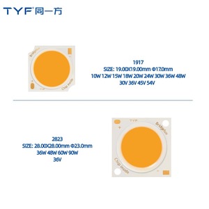 ชิป <span class=keywords><strong>LED</strong></span> TYF Bridgelux แบบ COB 3W 5W 10W 15W 20W 24W 30W 60W 90W ค่า CRI สูง RA80/90 36V 54V สำหรับไฟสปอตไลท์ ดาวน์ไลท์ และไฟเชิงพาณิชย์ - Product Image 4