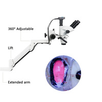 Microscope opératoire dentaire professionnel Greatlife Dent avec caméra FHD et éclairage LED pour la chirurgie du canal radiculaire